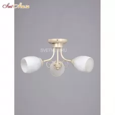 V3165/3PL