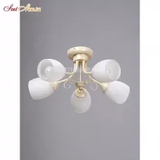 V3165/5PL