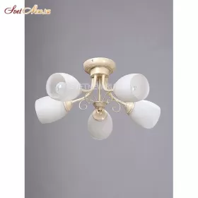 V3165/5PL