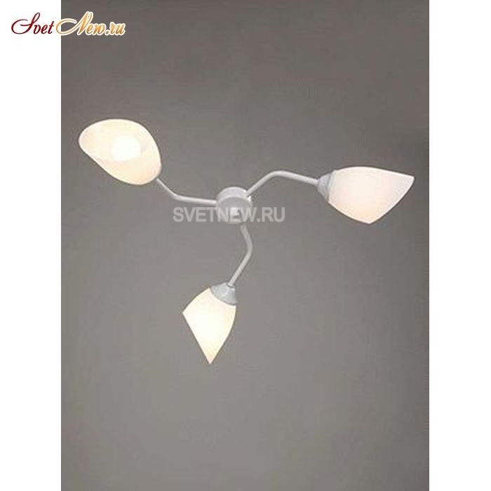 V3188/3PL