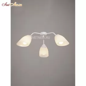V3195/3PL