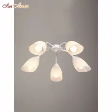 V3195/5PL