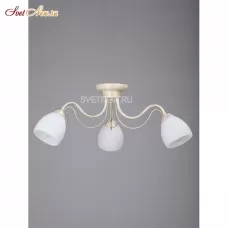 V3598/3PL