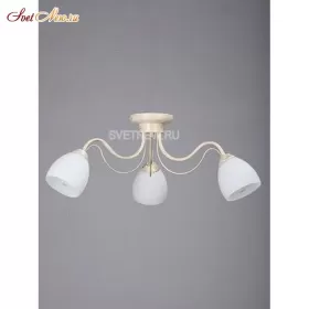 V3598/3PL