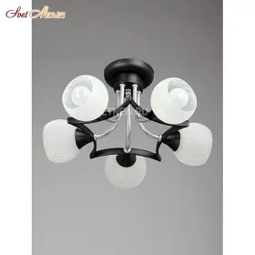 V4231/5PL