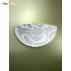 V6017/1A