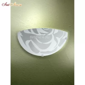 V6017/1A