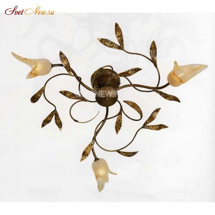 ER-2218/03PL terranova