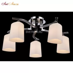 MOD131-CL-05-N