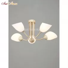 V3185/5PL
