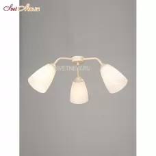 V3186/3PL