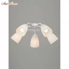 V3186/5PL