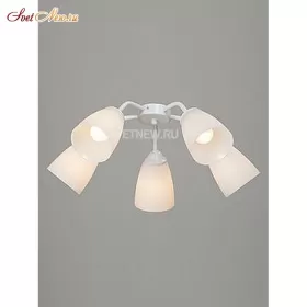 V3186/5PL