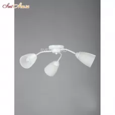 V3258/3PL