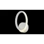 CL233B310