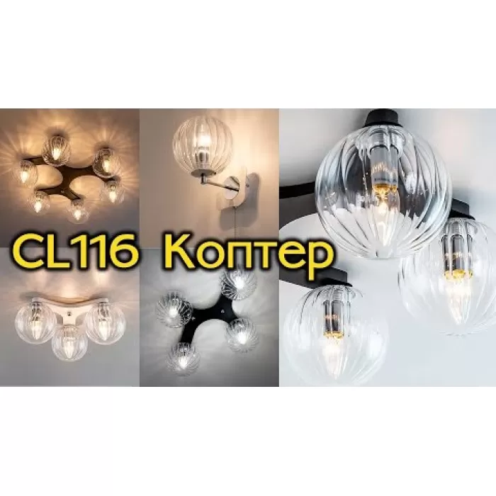 CL116310